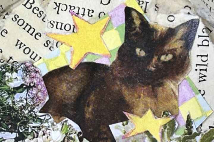 Cobram Library - Craft and Coffee
