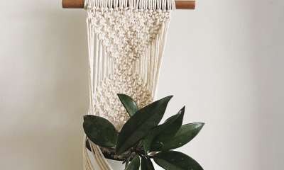 Shepparton Library - Macrame Wall Plant Hanger