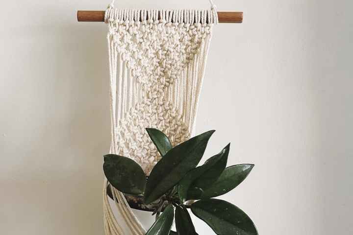 Shepparton Library - Macrame Wall Plant Hanger