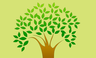 Shepparton Library - Connecting With Your Past