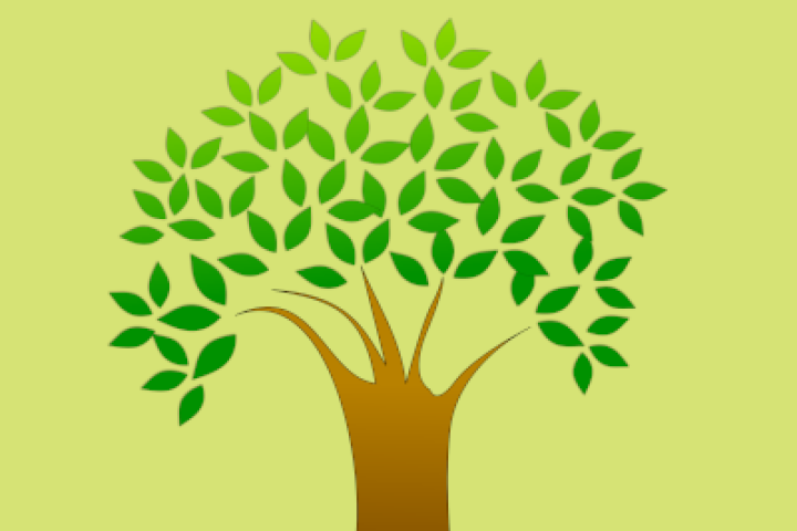 Shepparton Library - Connecting With Your Past