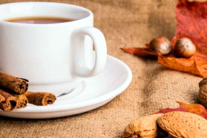 Tatura Library - Celebrate Seniors Morning Tea