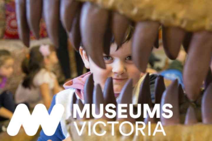 Mooroopna Library - Pop-up Museum Session 1