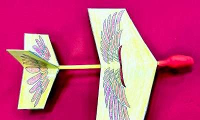 Numurkah Library - Bird Flyers (STEAM)