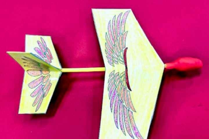 Euroa Library - Bird Flyers (STEAM)