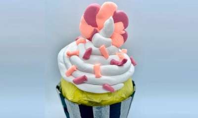 Cobram Library - Magiclay Cupcakes