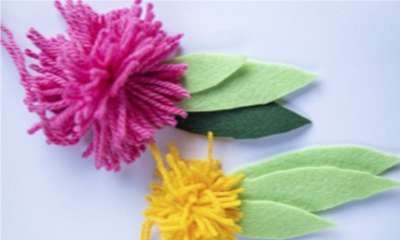 Avenel Library - Native Blossum Pom-Poms