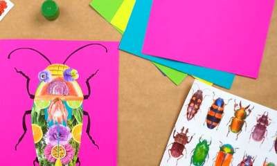 Mooroopna Library - Nature Beetles