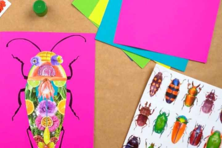 Mooroopna Library - Nature Beetles